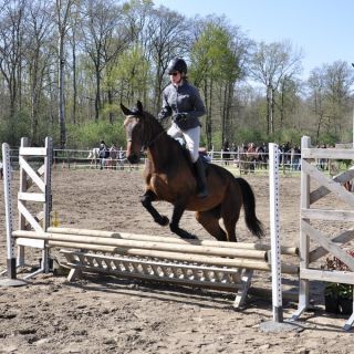 008-concours_chouzy.jpg
