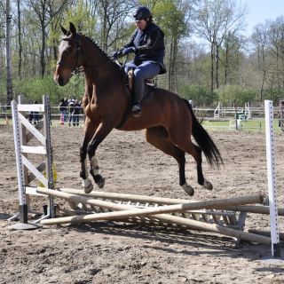 010-concours_chouzy.jpg