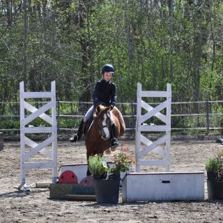 013-concours_chouzy.jpg