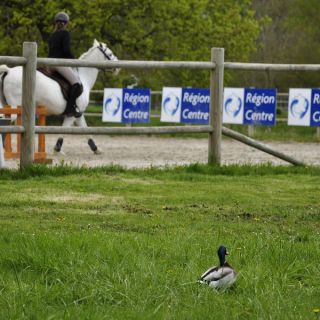 005-concours_blois_2012-04.jpg