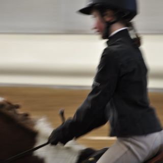 009-concours_blois_2012-04.jpg