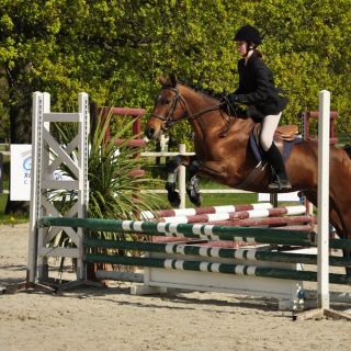 015-concours_blois_2012-04.jpg