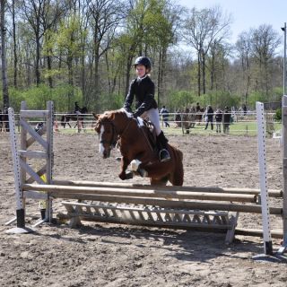 Equitation