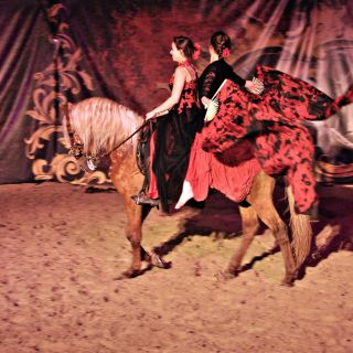 058-2019-11-16-feria-andalouse.jpg