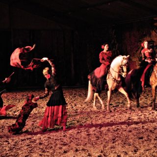 078-2019-11-16-feria-andalouse.jpg