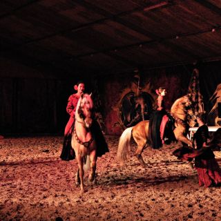 087-2019-11-16-feria-andalouse.jpg