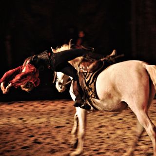 117-2019-11-16-feria-andalouse.jpg