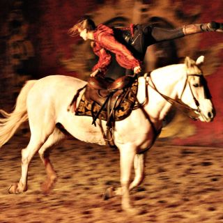 122-2019-11-16-feria-andalouse.jpg