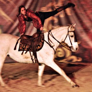 123-2019-11-16-feria-andalouse.jpg