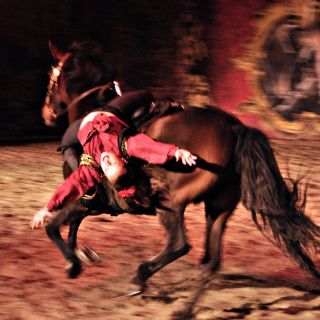 124-2019-11-16-feria-andalouse.jpg