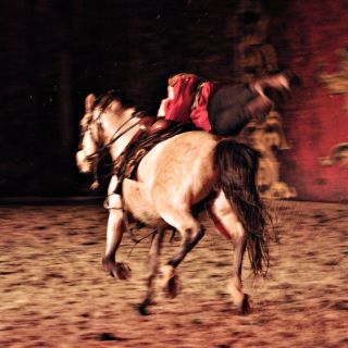 130-2019-11-16-feria-andalouse.jpg