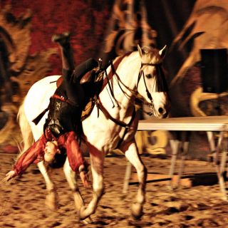 133-2019-11-16-feria-andalouse.jpg