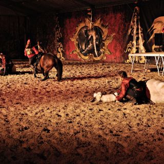 139-2019-11-16-feria-andalouse.jpg