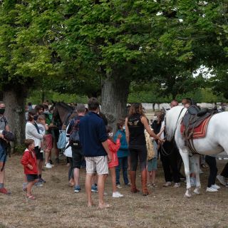 081-2020-08-chambord_off.jpg