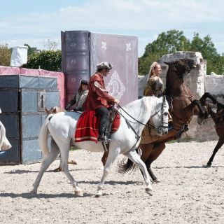 089-1-2020-08-10-chambord_pestacle.jpg
