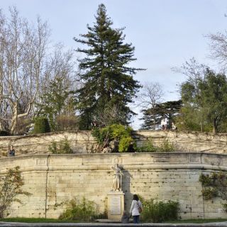 009-Romaxiane.jpg