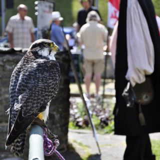 006-conwy.jpg