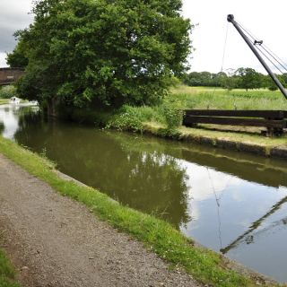 028-daresbury.jpg
