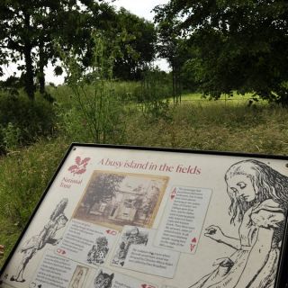 037-daresbury.jpg