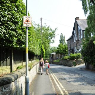002-lymm.jpg