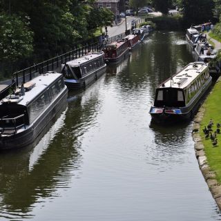 007-lymm.jpg