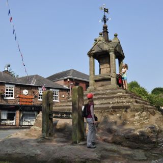 009-lymm.jpg