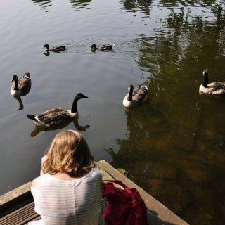 014-lymm.jpg