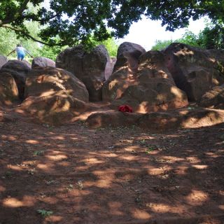 016-lymm.jpg
