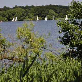 014-northwich_woodlands.jpg