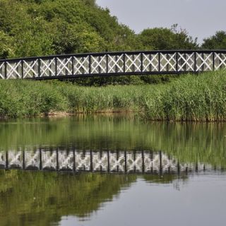 028-northwich_woodlands.jpg