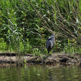 031-northwich_woodlands.jpg