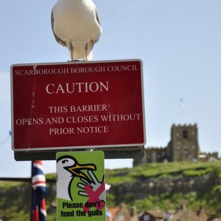 023-whitby.jpg
