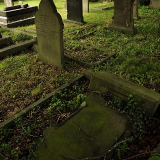 003-whitley.jpg