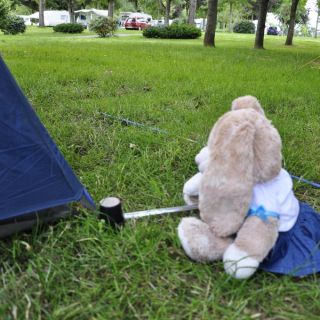 009-au_fil_de_la_loire-2012-06-30.jpg