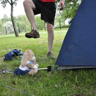 010-au_fil_de_la_loire-2012-06-30.jpg
