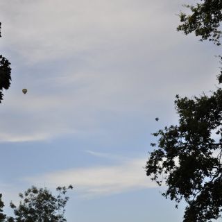 028-au_fil_de_la_loire-2012-06-30.jpg