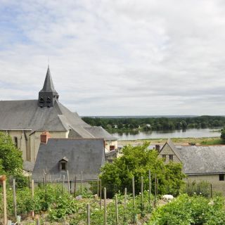 007-au_fil_de_la_loire-2012-07-03.jpg