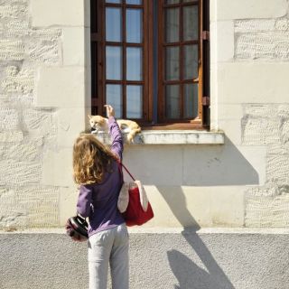 015-au_fil_de_la_loire-2012-07-03.jpg