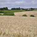 020-au_fil_de_la_loire-2012-07-03.jpg