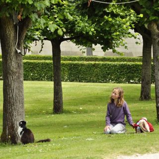 040-au_fil_de_la_loire-2012-07-03.jpg