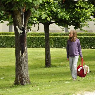 041-au_fil_de_la_loire-2012-07-03.jpg