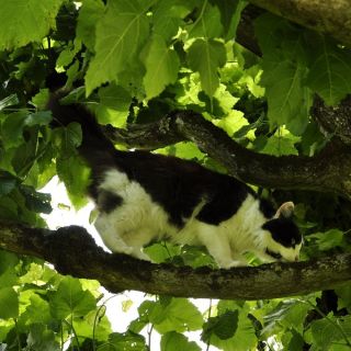 042-au_fil_de_la_loire-2012-07-03.jpg