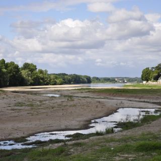 005-au_fil_de_la_loire-2012-07-05.jpg