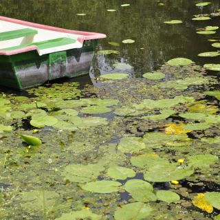 008-barque-a-oudon.jpg