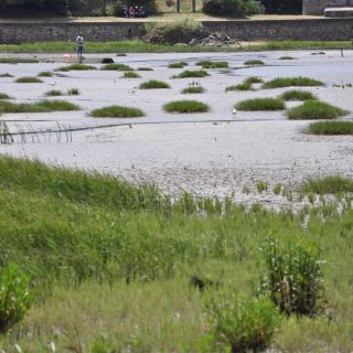 010-pecheur-sur-la-plage.jpg