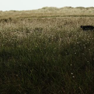 pointe-besnard-011.jpg