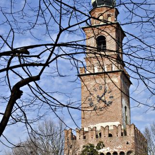033-2020-02-vigevano.jpg