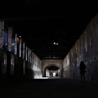 035-2020-02-vigevano.jpg