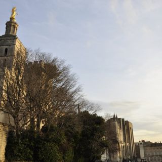 003-avignon_2012.jpg