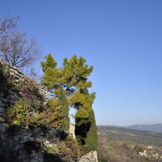 021-avignon_2012.jpg